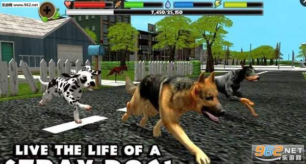 流浪狗生存模拟器