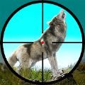 野狼狩猎冒险Wild Wolf Animal Hunting 2021 An