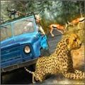 野生生存狩猎Wild Animals Hunting Safari Shoo