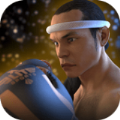 泰拳2格斗冲突Muay Thai - Fighting Clash
