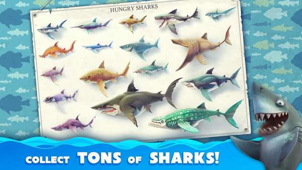 饥饿鲨世界国际版新鲨鱼