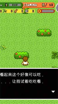 无人岛大冒险破解版