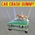 车祸撞击假人(Car Crash Dummy)