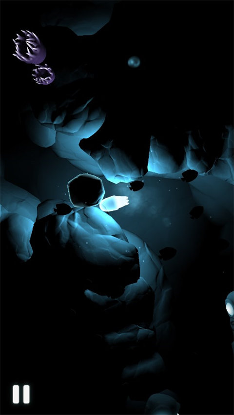 海洋之光(Seashine)