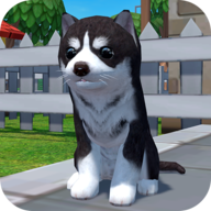 ZOOM动物马(Dog Simulator - Animal Life)
