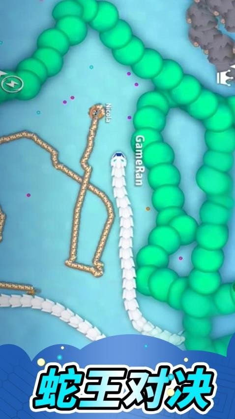 贪吃蛇蛇年版