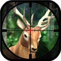 狩猎驼鹿(Moose Hunter)v1.1.6