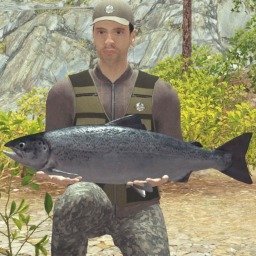 王者钓鱼大师v1.0.0