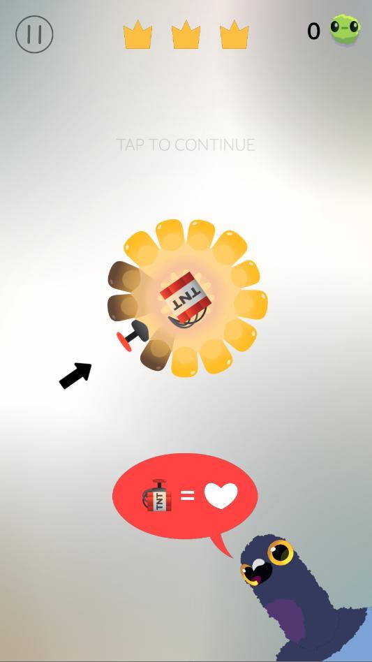 疯狂的鸽子pigeonpop