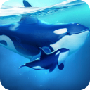 小小水世界官网版v4.52.1