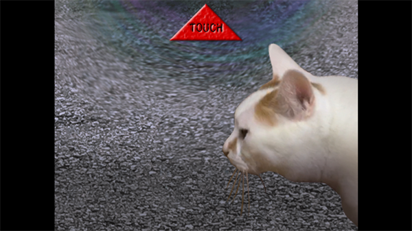 翌日猫之怪奇谭彩蛋版